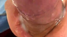 Pekeshow1620 delivers fresh update showcase