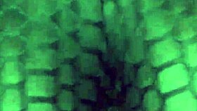 Big Booty Wife Dances And Shakes Her Ass