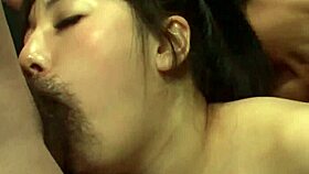 I give azusa nagasawa steamy blowjobs