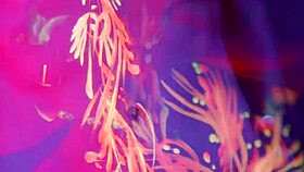 Spicy Dragon's Naked Monster Art Romp