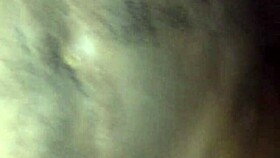 The bbw rides reverse cowgirl on a big black cock