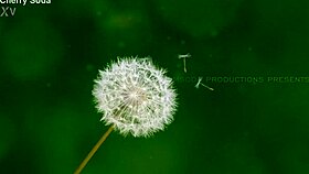 Cherrysoda Cherry Loves Facials Trailer