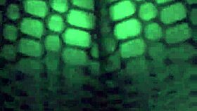 Big Booty Wife Dances And Shakes Her Ass