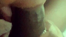 Jill Wettmout demonstrates her close-up technique in detail step by step