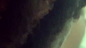 Jill Wettmout demonstrates her close-up technique in detail step by step