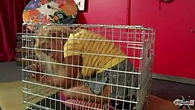 scott rhodes pumps hard into maxine x then unloads cum on her lips