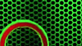 Clit Pierced Cowgirl Shelby Paris Rides Miles Long's Hard Dick Deepthroat Orgasm!