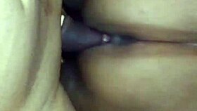 latina lover's teasing cowgirl cock ride exposed