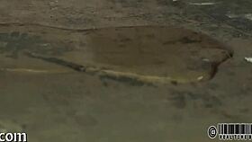 Tease me with those spanking sadomasochism stories?