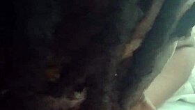 Jill Wettmout demonstrates her close-up technique in detail step by step