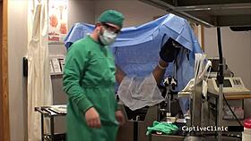 phoenix rose, ready for fetish toy humiliation experiment?