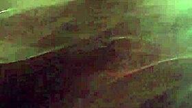 Brunette Slut Deepthroats and Sucks Massive Cock Hungrily