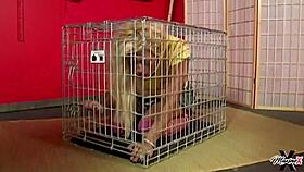 scott rhodes pumps hard into maxine x then unloads cum on her lips