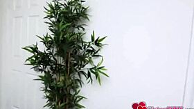 dolly leigh gets her big ass drilled deep and hard