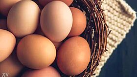 hey, do you think sackpeople can reproduce somehow?