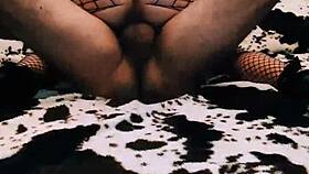 Elegant homemade couple enjoys passionate anal sex in pov.