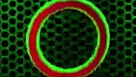 big-titted siri in lingerie spreads wide showing off her natural pussy lips and clit