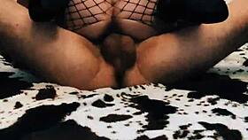 Elegant homemade couple enjoys passionate anal sex in pov.