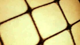 Elegant homemade couple enjoys passionate anal sex in pov.