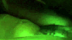 real african black panther hangs with black pal