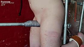 blindfolded slave bound on steel pony squirts from vibrator torment