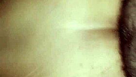 who's ready for a thick nighttime pounding of my chubby mexican ass?