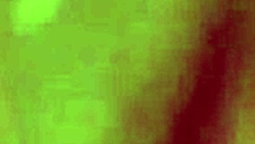 bree daniels and jenna j ross dive tongues deep into wet pussies