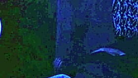 i thought it was my lover waking me to fuck but it was the horny neighbor