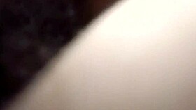 i spread her big ebony ass on bed fuck tight pussy creampie inside