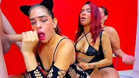 Beautiful girls milf deliver explosive blowjobs!