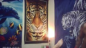 hey watch maxxx loadz hammer asian pussy backstage raw missionary style