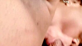 sundaydogood614 shares update 164 with video from april 26 2024