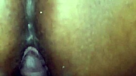 Ghetto bbw thot rides big black cock homemade style