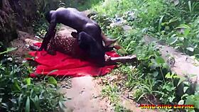 village ebony slut takes big black cock doggystyle on ranch missionary rough