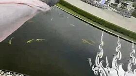 Boldly discover chiang rai's magical white temple adventure