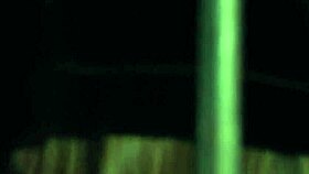 Alexis bound tight vibed to screaming climax