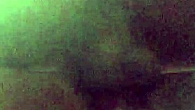 wet pussy getting pounded doggystyle by big black cock 💦🍆