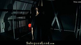 Alexis bound tight vibed to screaming climax