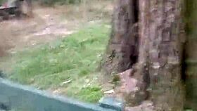 i took wolfdaddy901s thick cock bareback anal creampie bent over in public park crossdressing redhead