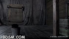 wanna hear some wild free sadomasochism stories with rough blowjobs and hardcore fucking? 😈🍆💦