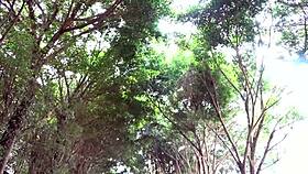 Village doc tries traditional fix for my soaked pussy after months of drought