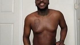 vampire scorpios shift from nocturnal to diurnal habits casually