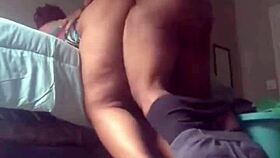 black lesbian bbw chubby ebony compilation licking fat pussies moaning orgasms part 2