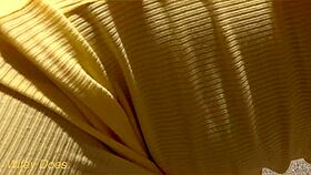 Wifey, flash that perfect pussy on this wild bike ride?