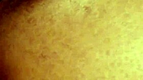 Ex-girlfriend begs for rough anal creampie pounding now!