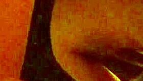 Drilling hot Asian babe in San Francisco frenzy!