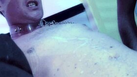 alexis silver and busty friends ride cocks in wild group orgy