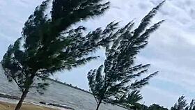 saw hot blonde on beach paid 10 for her blowjob 😏