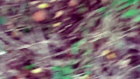 we sneak into the forest for secret pussy licking and orgasmic lesbian fuck