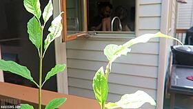 Nikki's juicy cheeks bounce wildly as she's taken from behind doggystyle